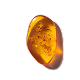 Amber Dry